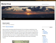 Tablet Screenshot of bomaicruz.southernfriedscience.com